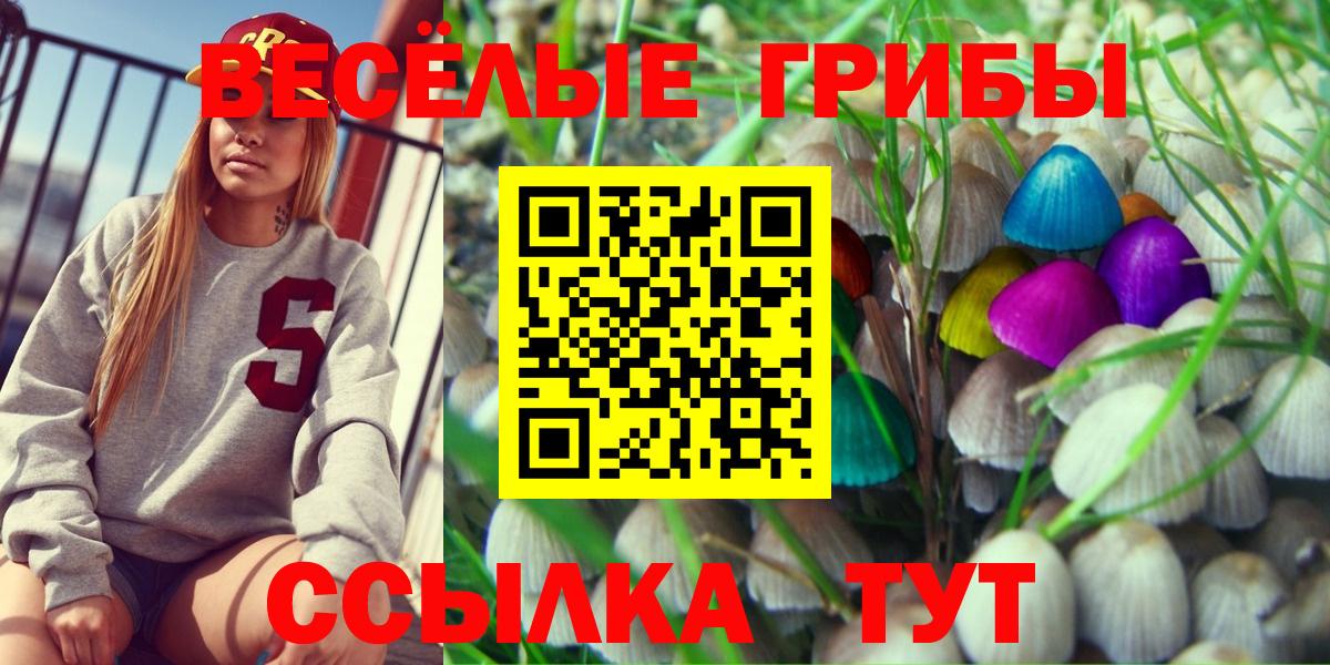 Псилоцибиновые грибы Cubensis  Вход с VPN  Губкин  Галлюциногенные грибы Psilocybe 