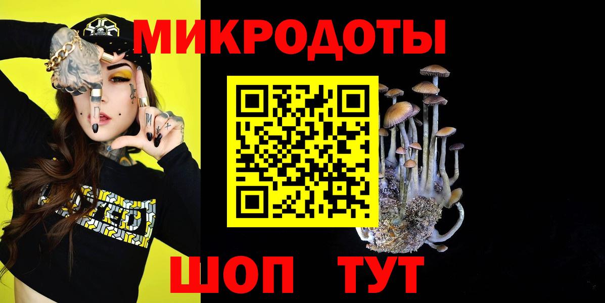 Галлюциногенные грибы Psilocybe Губкин